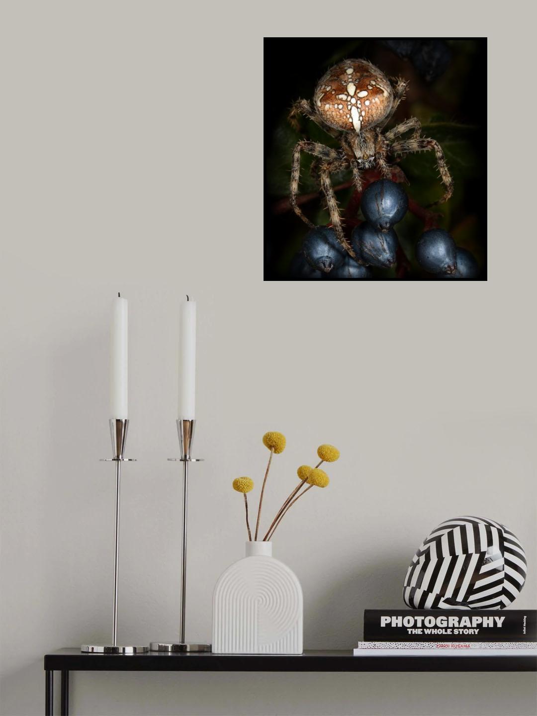 Cross-spider Poster och Canvastavla