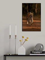 Cat Walk Poster och Canvastavla