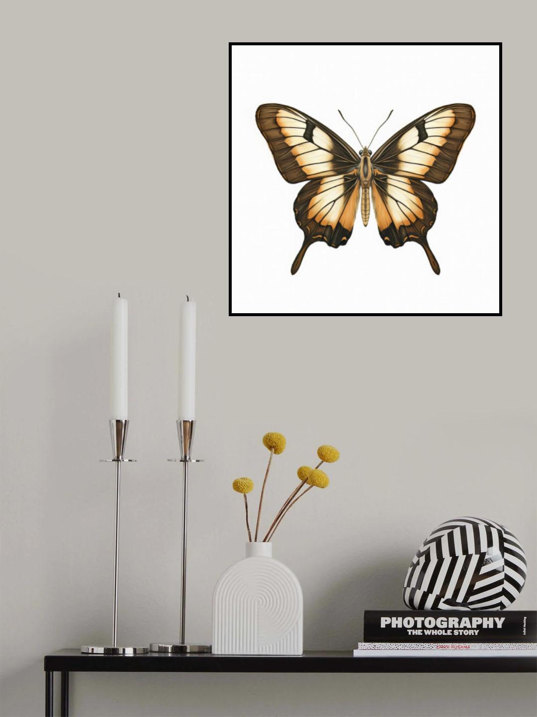 Butterfly 14 Poster och Canvastavla
