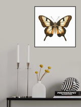 Butterfly 14 Poster och Canvastavla