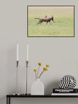 Hunting Poster och Canvastavla
