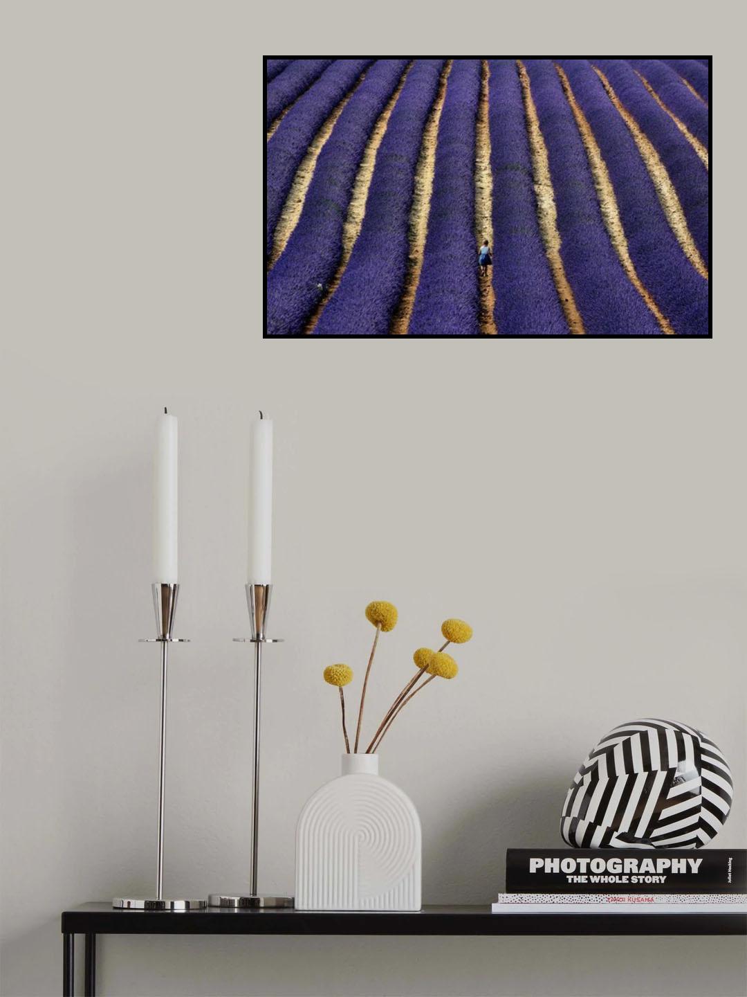small steps between a world of blue lines Poster och Canvastavla