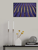 small steps between a world of blue lines Poster och Canvastavla