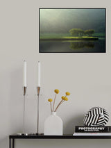 Trees in the morning sunlight #2 Poster och Canvastavla