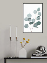 Silverdollar Poster och Canvastavla