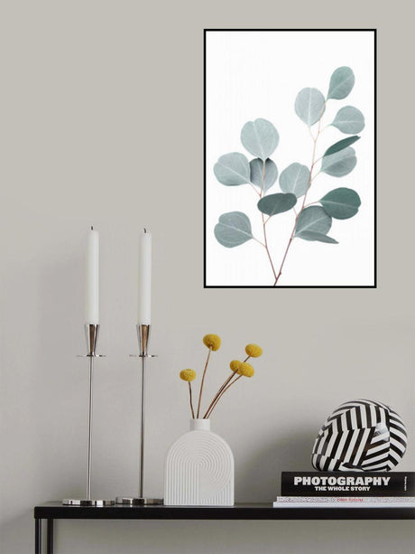 Silverdollar Poster och Canvastavla