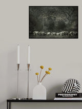 Elephant familiy Poster och Canvastavla