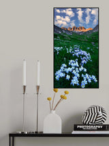 Blooming Poster och Canvastavla