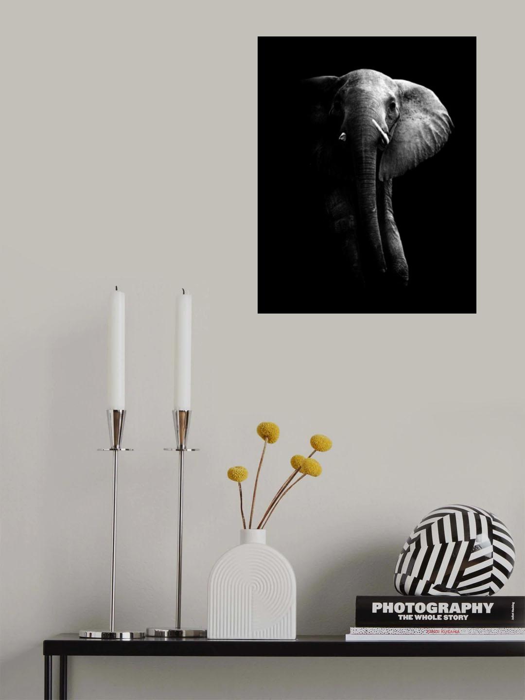 Elephant! Poster och Canvastavla