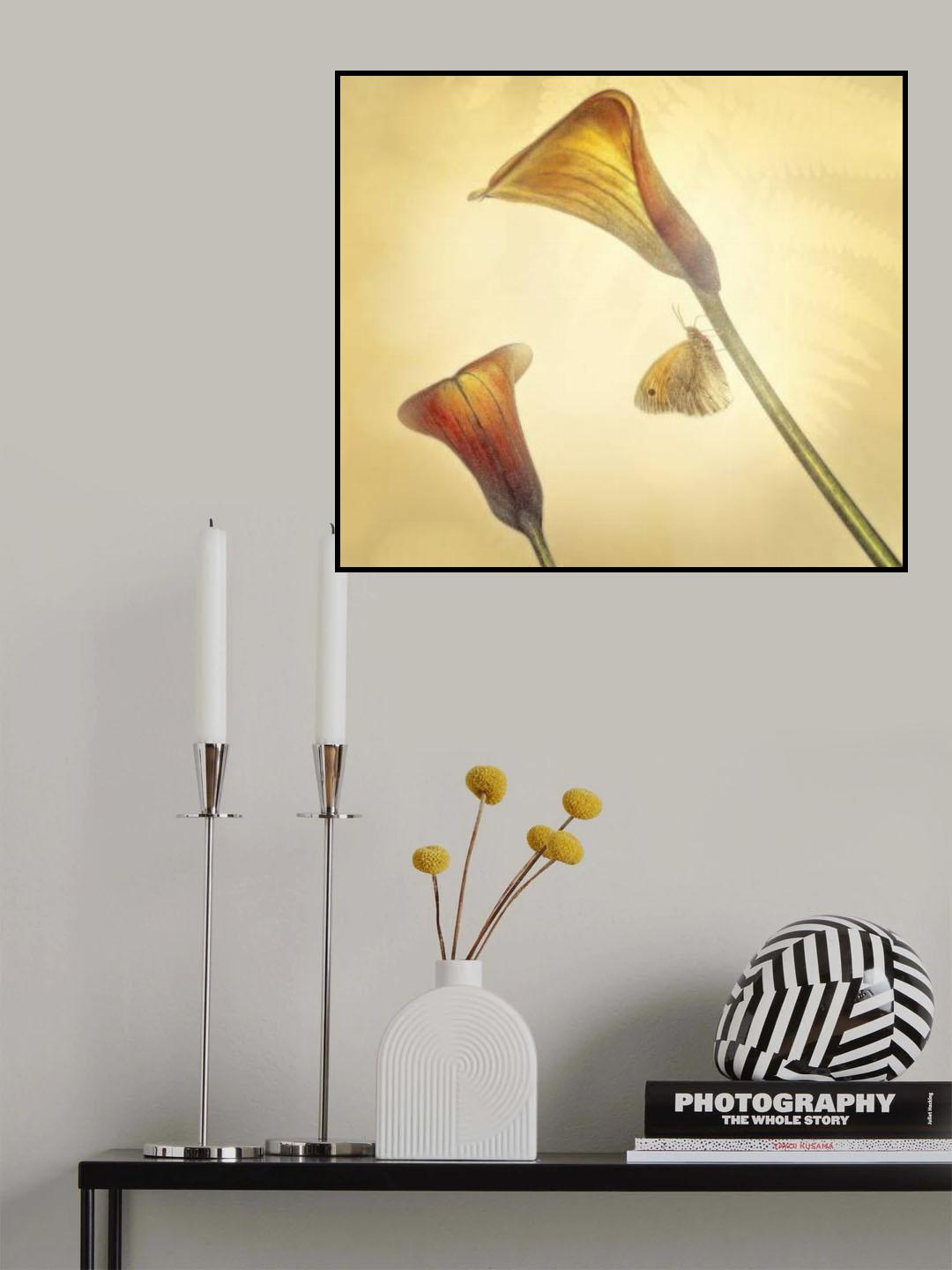 arums ... Poster och Canvastavla