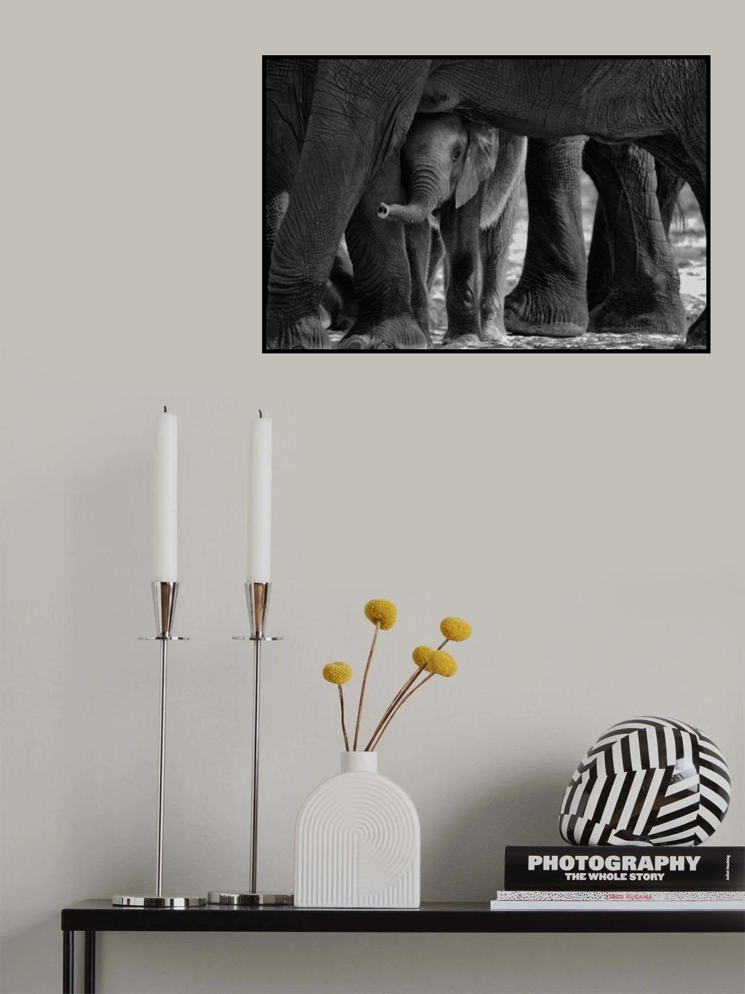 Small among larges. Poster och Canvastavla