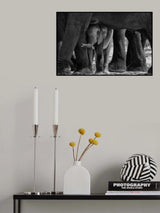 Small among larges. Poster och Canvastavla