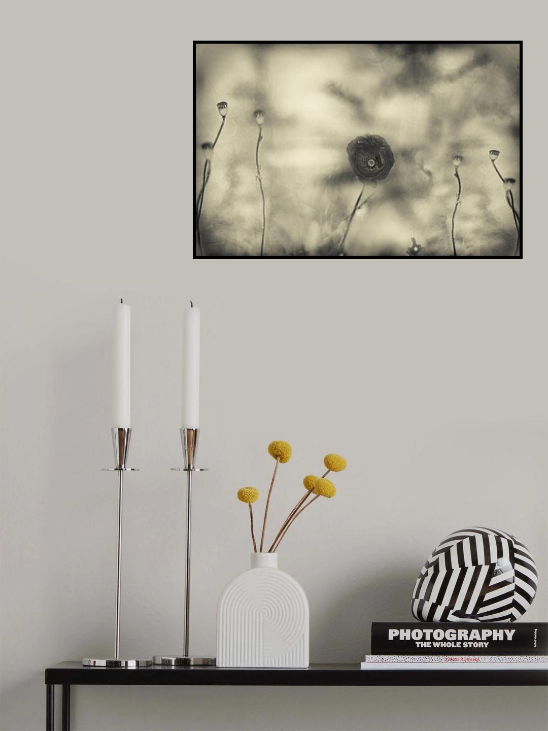 Poster och Canvastavla
