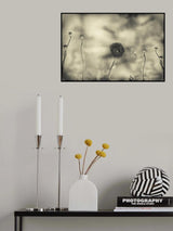 Poster och Canvastavla