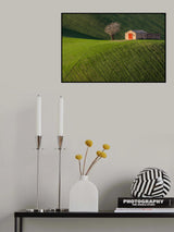 Natural Life Poster och Canvastavla