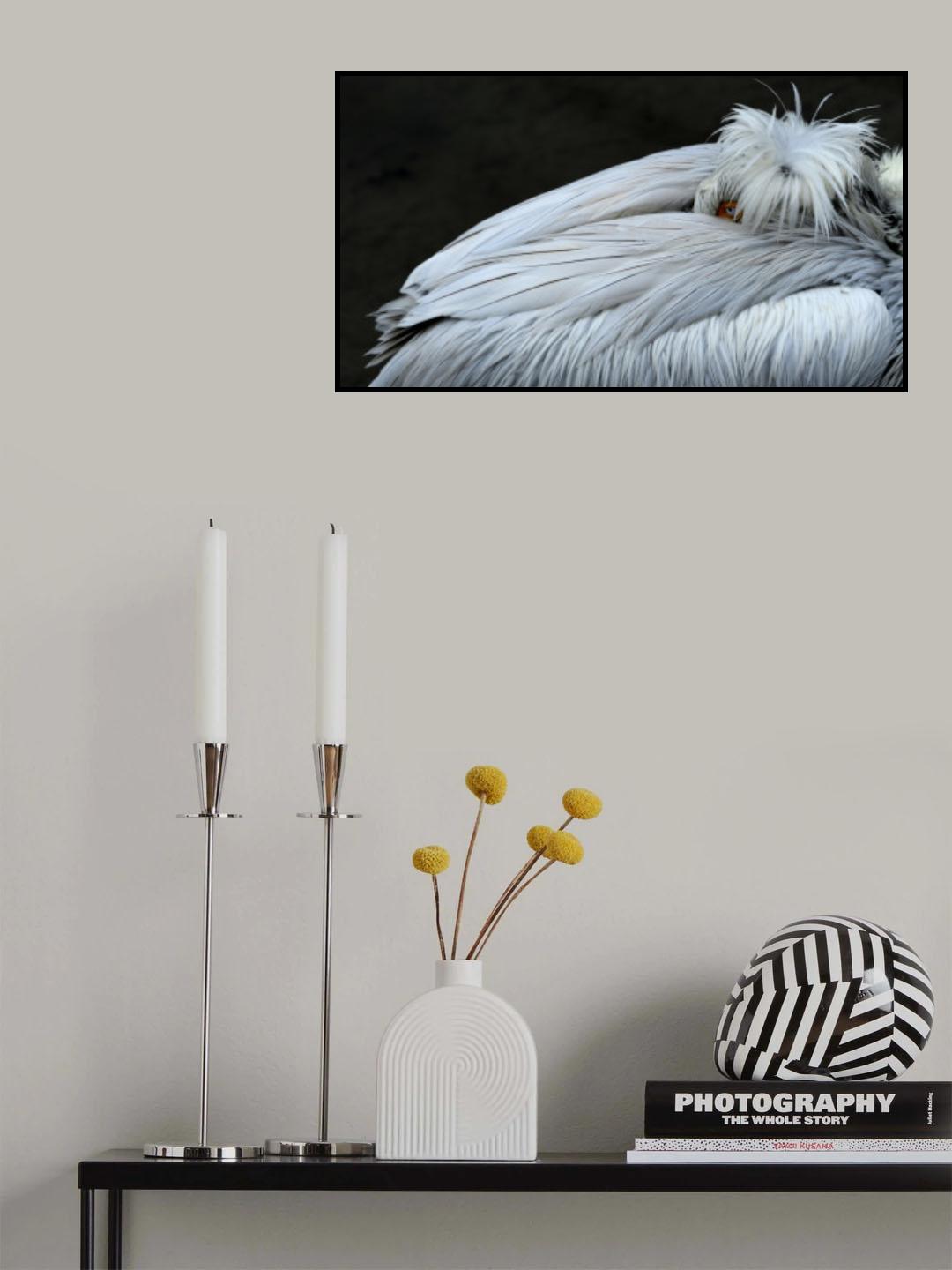 Sleepy Poster och Canvastavla