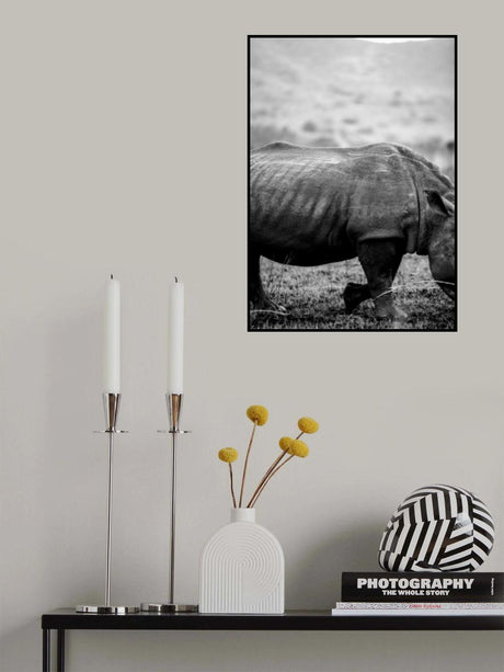 Black Rhino Poster och Canvastavla