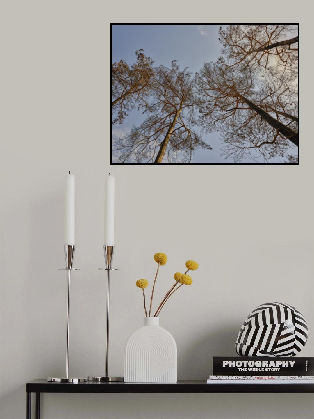 burnt trees in the forest Poster och Canvastavla