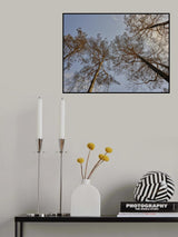 burnt trees in the forest Poster och Canvastavla