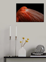 Poster och Canvastavla