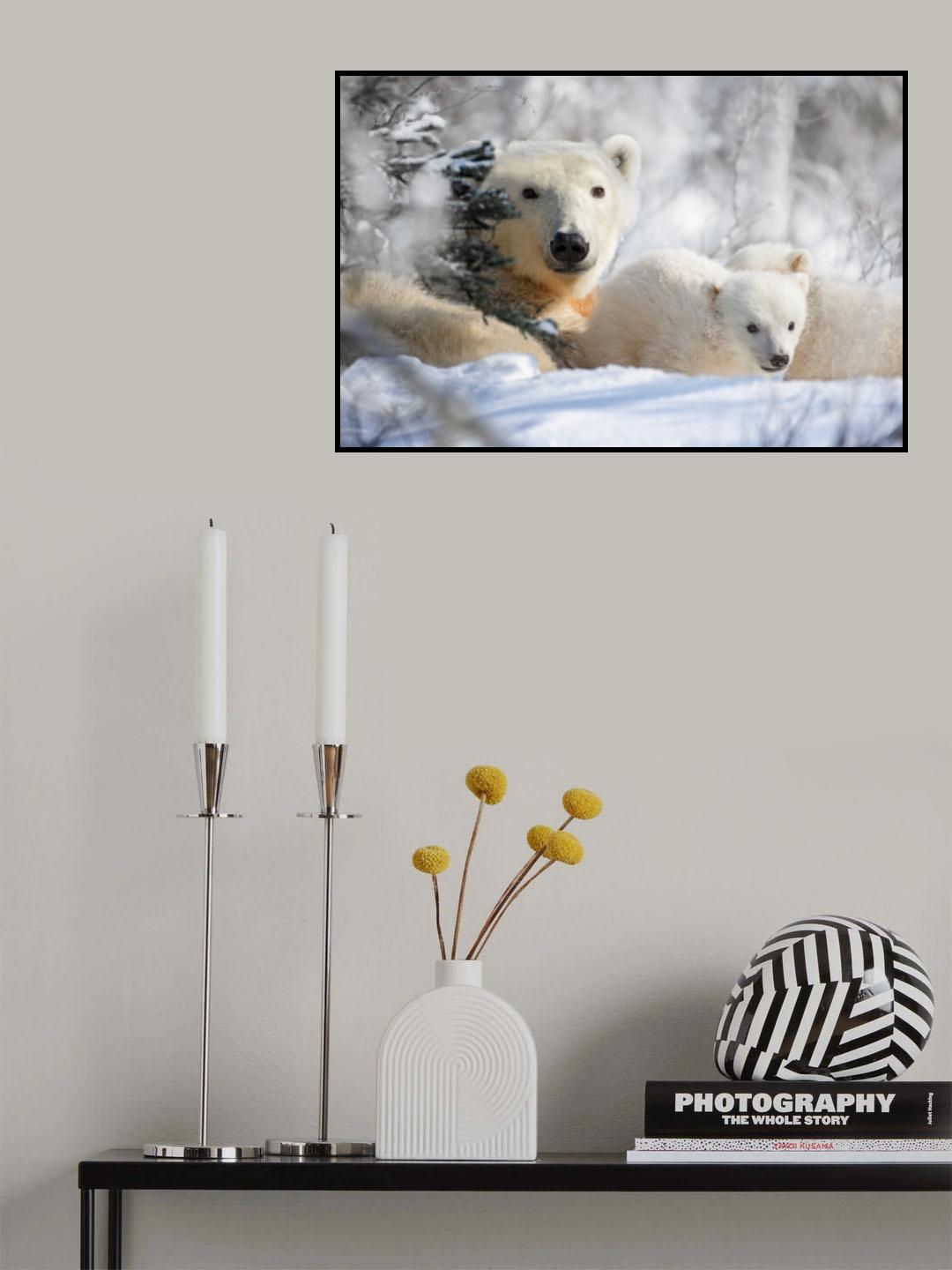 Mom and cubs Poster och Canvastavla
