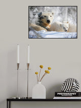 Mom and cubs Poster och Canvastavla