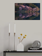 Cherry bomb Poster och Canvastavla