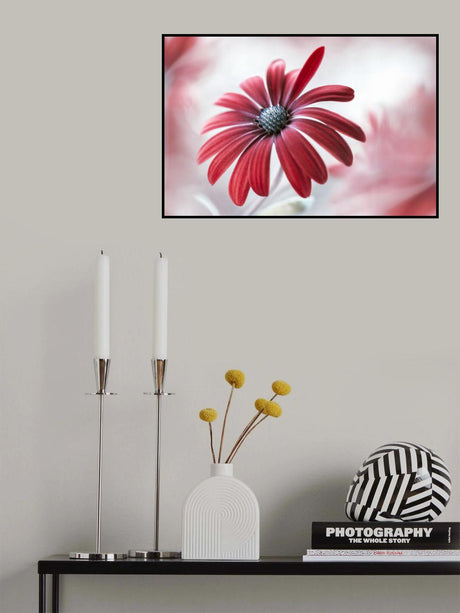 Daisy Poster och Canvastavla
