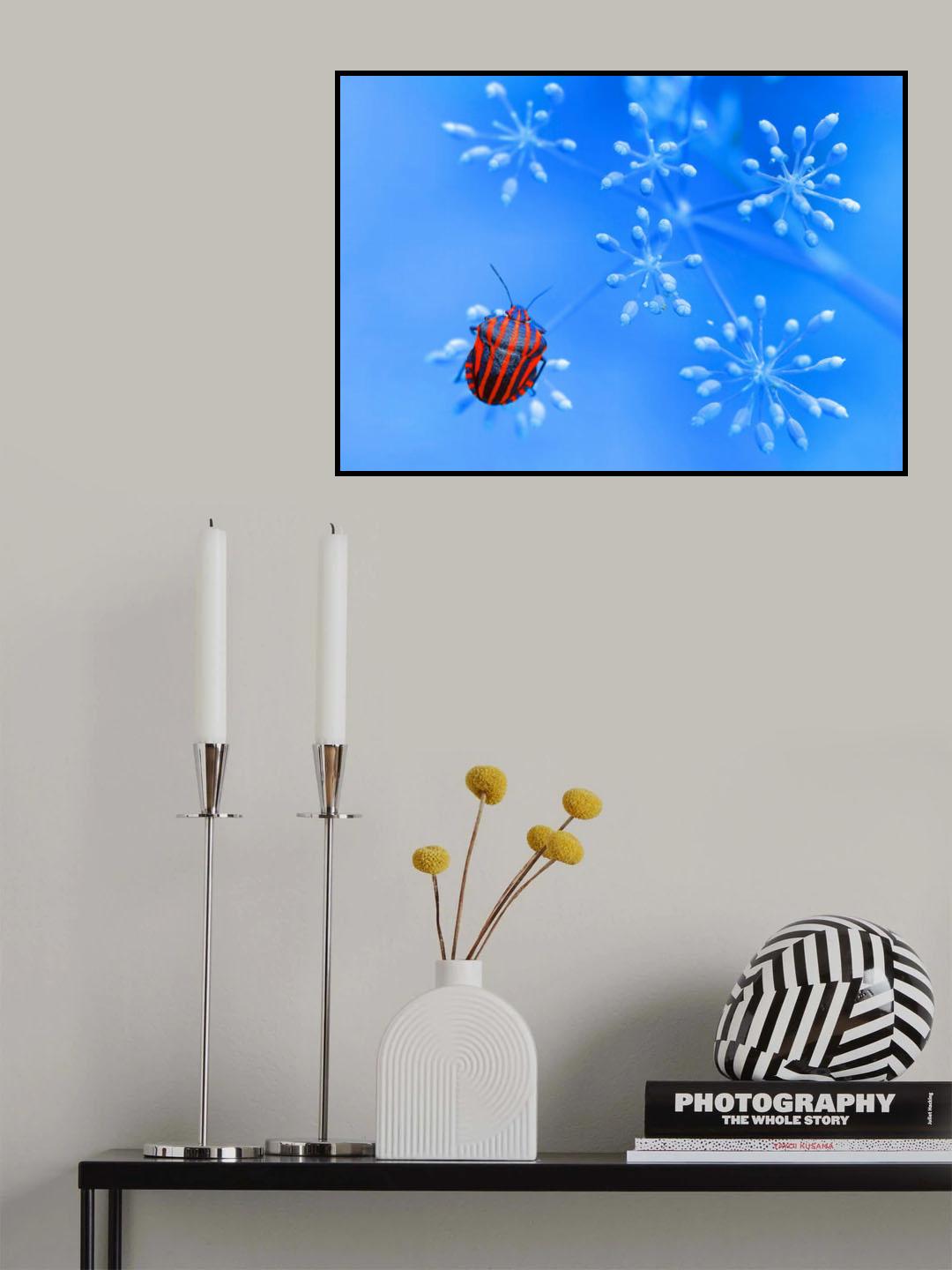 Red blue... Poster och Canvastavla