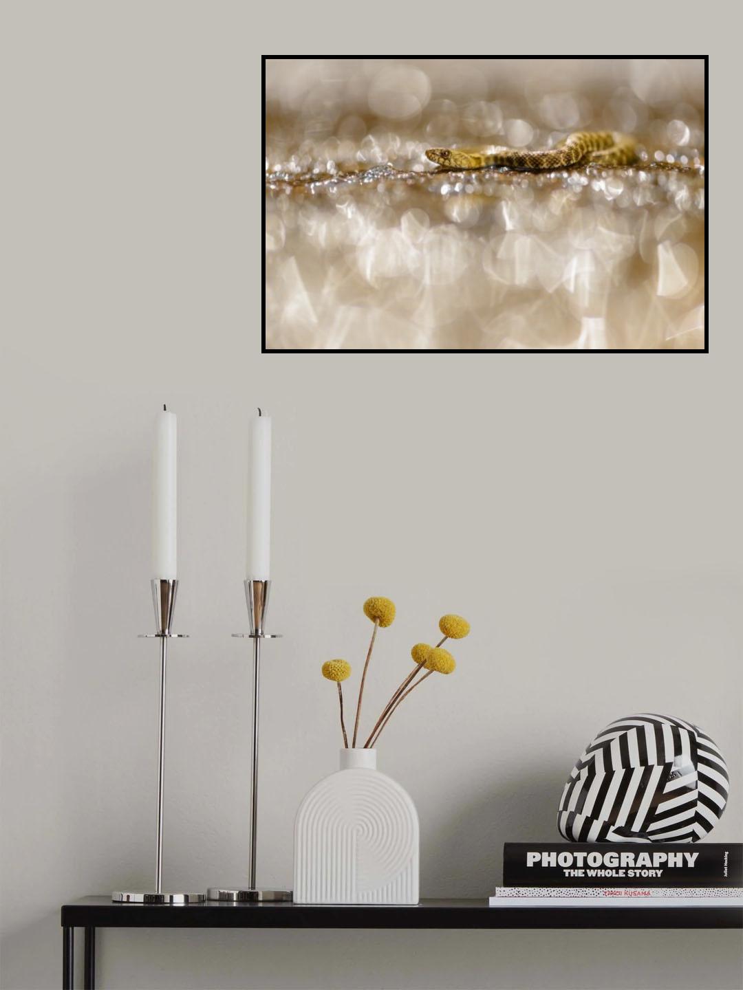 Life among diamonds Poster och Canvastavla