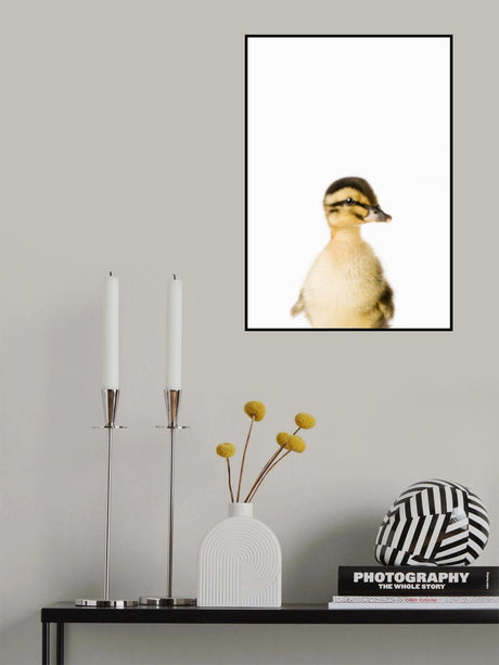Baby Duck Poster och Canvastavla