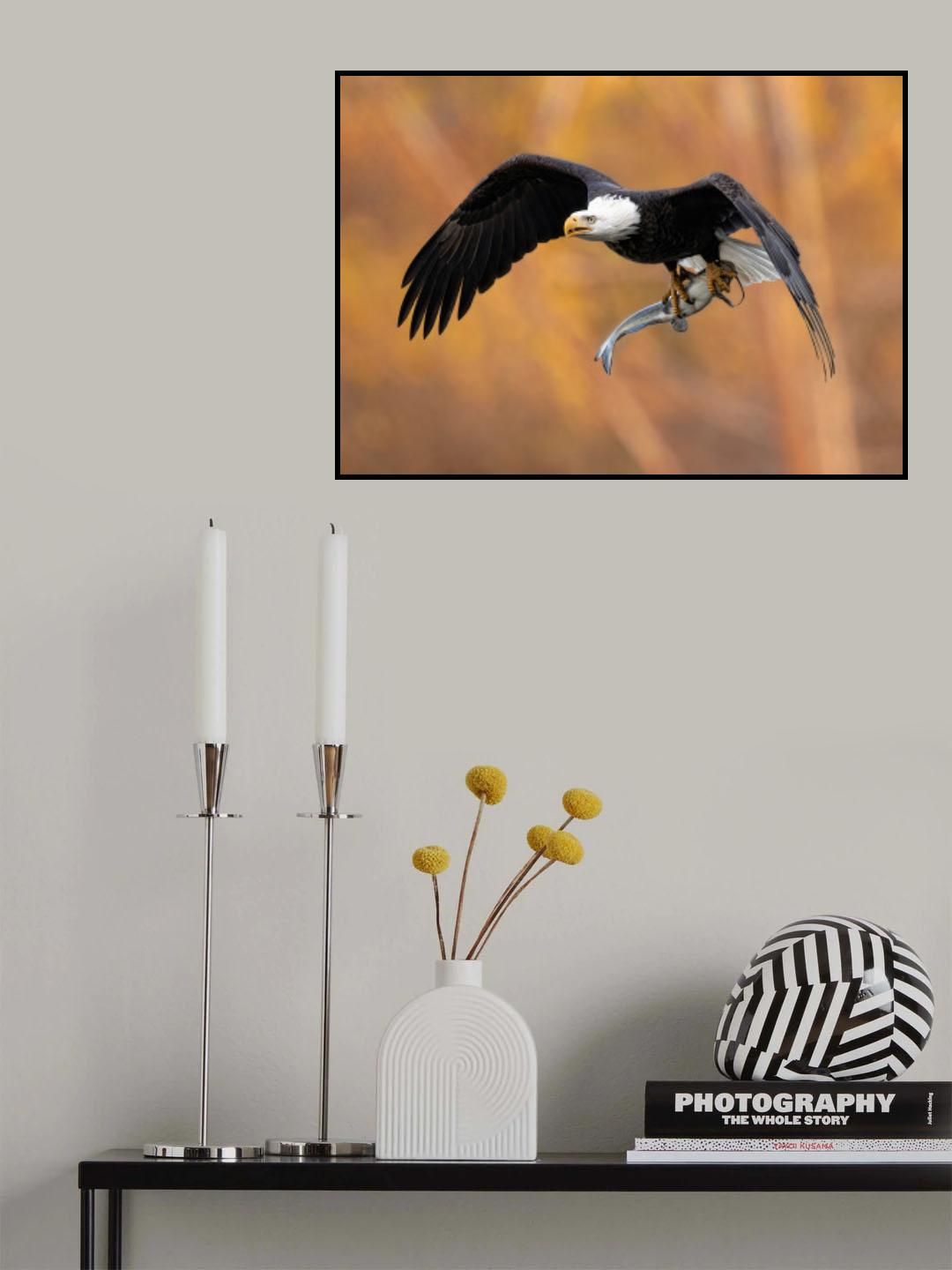 The eagle’s prey in the fall Poster och Canvastavla