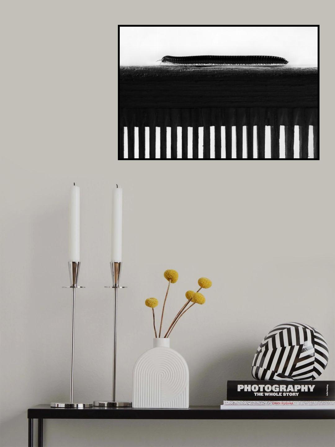 1000 Poster och Canvastavla
