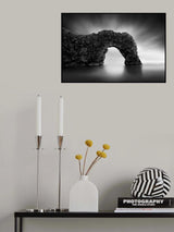 Dinosaur on the Beach II Poster och Canvastavla