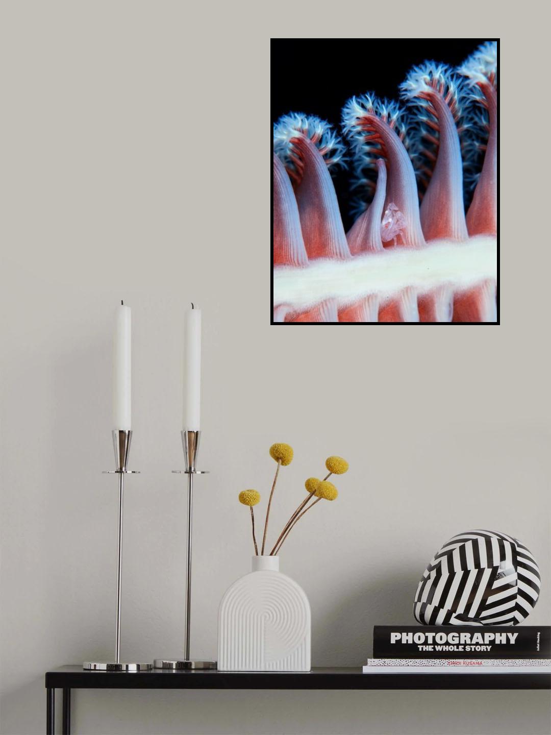Magical forest Poster och Canvastavla