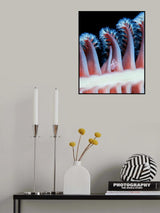 Magical forest Poster och Canvastavla