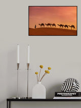 Life in the grass Poster och Canvastavla