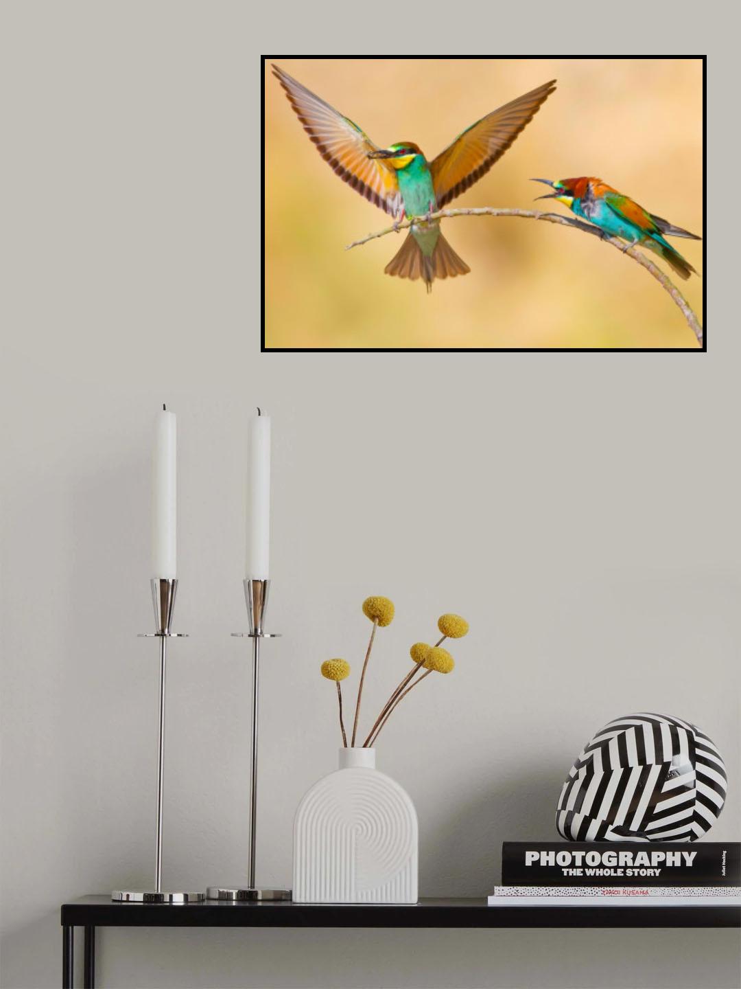 Bee-eaters Poster och Canvastavla
