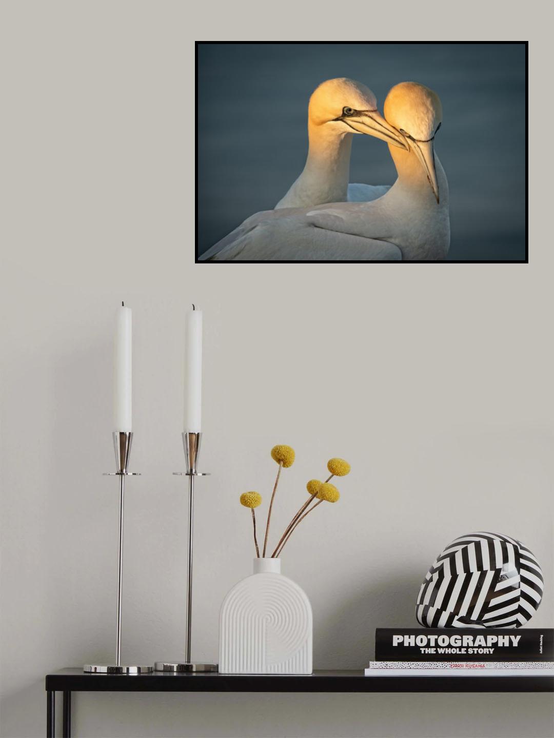 I like you a lot......... Poster och Canvastavla