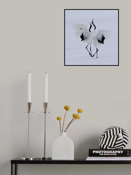 Dancing in the snow. Poster och Canvastavla