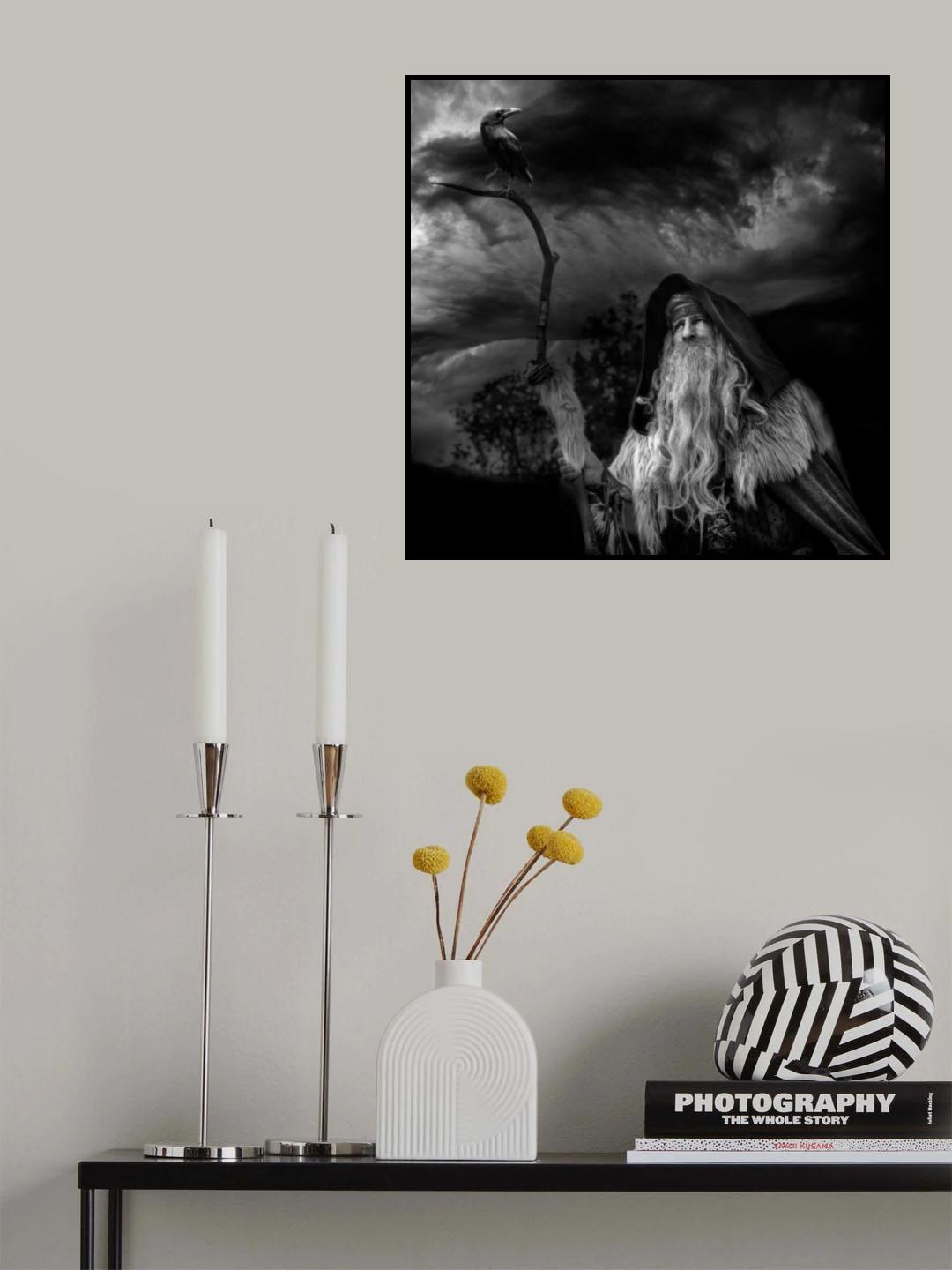 the druid and the crow Poster och Canvastavla