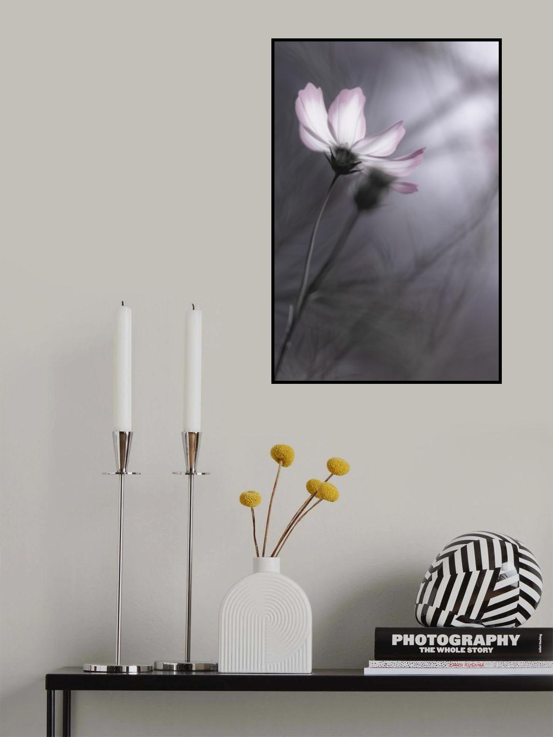 Cosmos Poster och Canvastavla