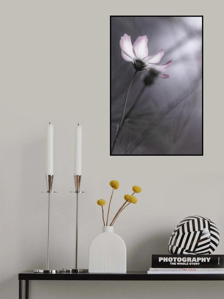 Cosmos Poster och Canvastavla