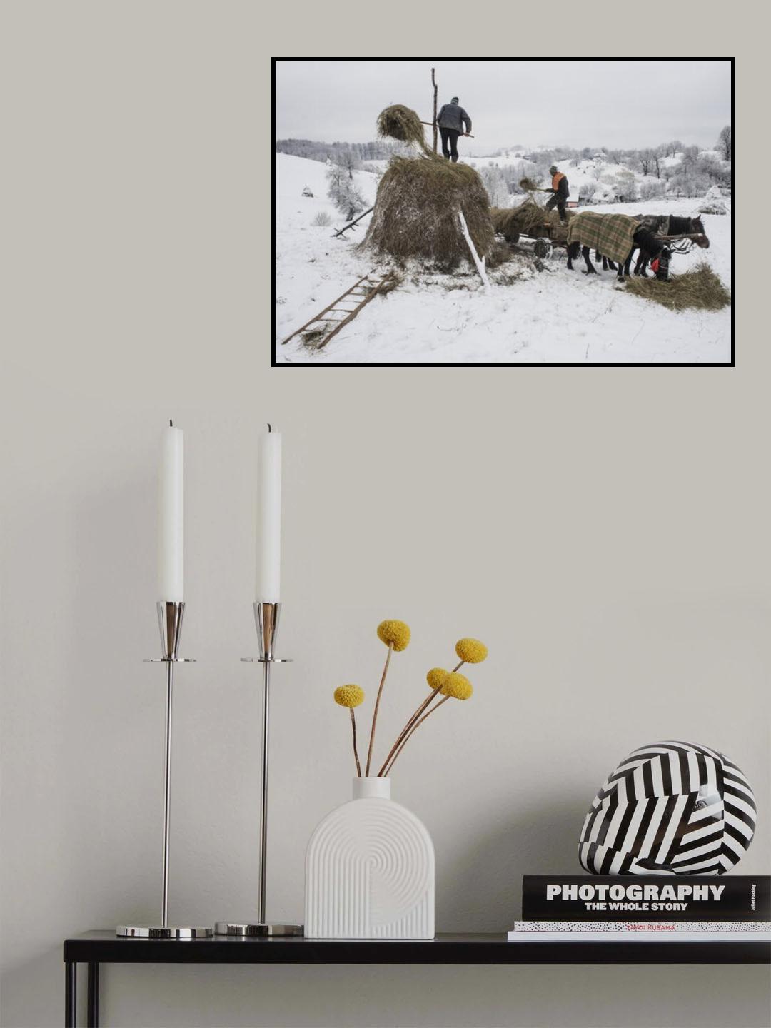 In the winter Poster och Canvastavla