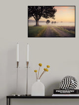 Mystic Path Poster och Canvastavla