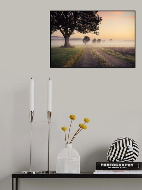 Mystic Path Poster och Canvastavla