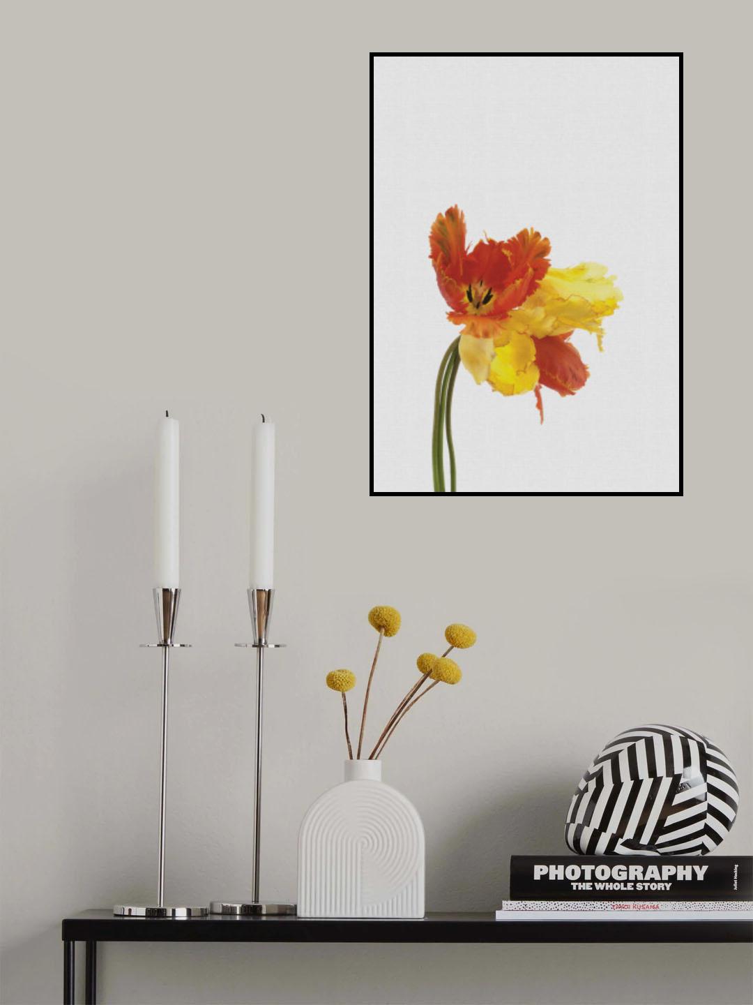 Tulip Still Life Poster och Canvastavla