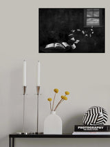 Flight of Ideas Poster och Canvastavla