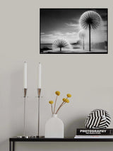 Dandelions Poster och Canvastavla
