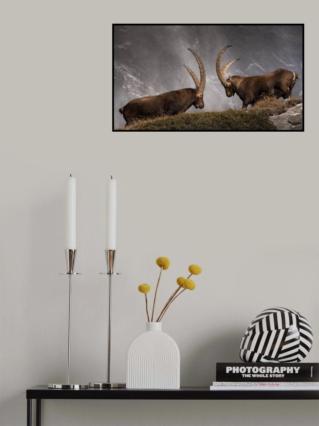 Eyes in eyes Poster och Canvastavla